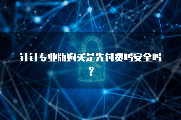 钉钉专业版购买是先付费吗安全吗?