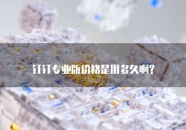 钉钉专业版价格是用多久啊?
