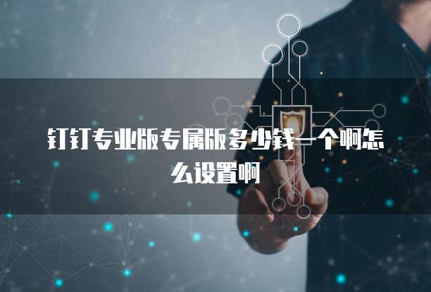 钉钉专业版专属版多少钱一个啊怎么设置啊