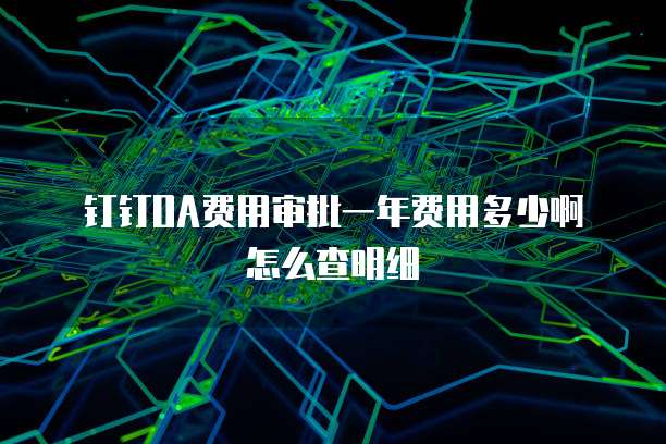 钉钉OA费用审批一年费用多少啊怎么查明细