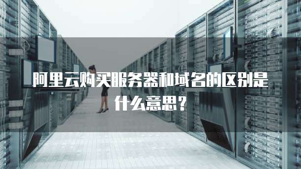 阿里云购买服务器和域名的区别是什么意思?
