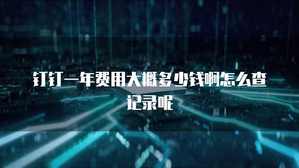 钉钉一年费用大概多少钱啊怎么查记录呢