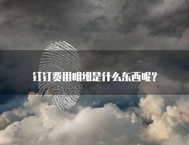 钉钉费用明细是什么东西呢?