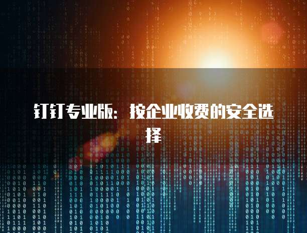 钉钉专业版:按企业收费的安全选择
