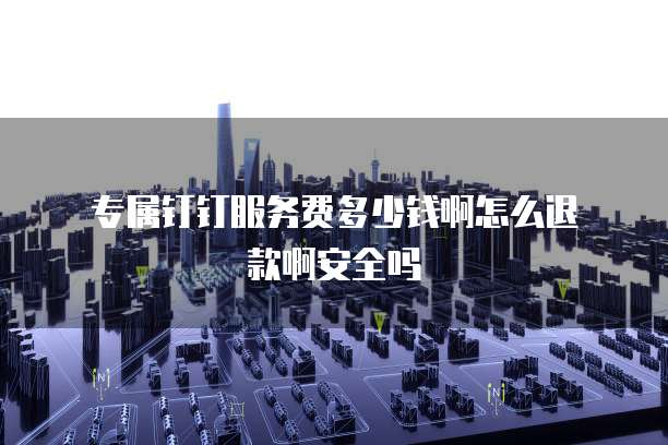 专属钉钉服务费多少钱啊怎么退款啊安全吗