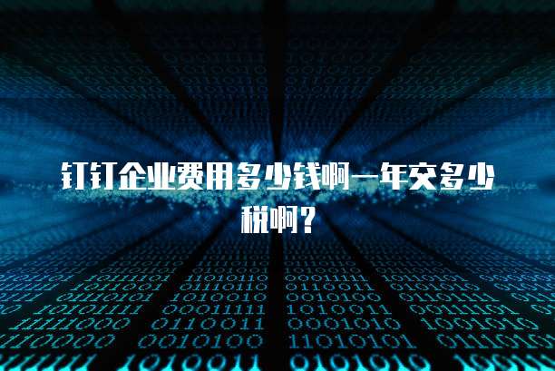 钉钉企业费用多少钱啊一年交多少税啊?