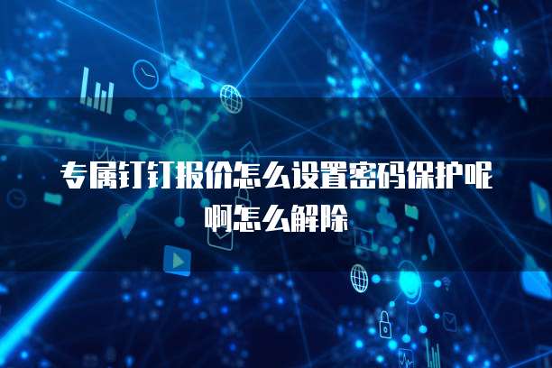 专属钉钉报价怎么设置密码保护呢啊怎么解除