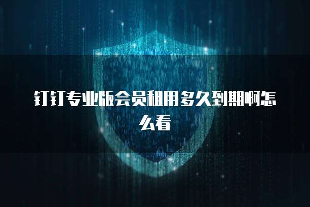钉钉专业版会员租用多久到期啊怎么看