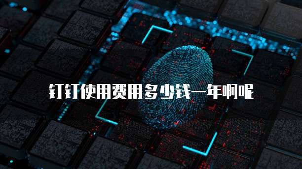 钉钉使用费用多少钱一年啊呢