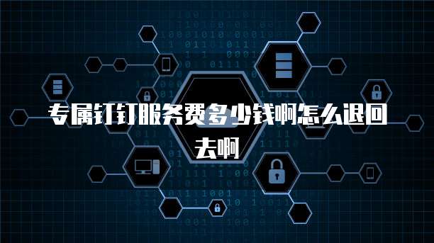 专属钉钉服务费多少钱啊怎么退回去啊