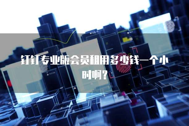 钉钉专业版会员租用多少钱一个小时啊?