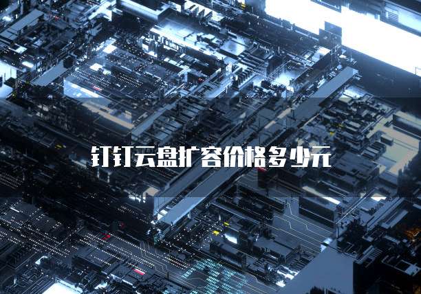 钉钉云盘扩容价格多少元