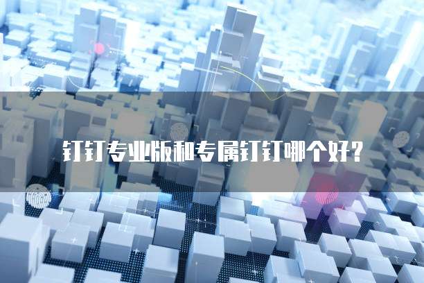 钉钉专业版和专属钉钉哪个好？