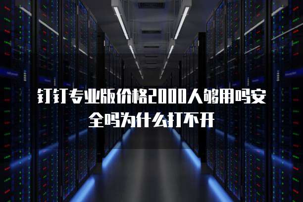 钉钉专业版价格2000人够用吗安全吗为什么打不开
