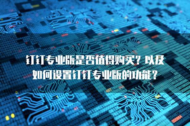  钉钉专业版是否值得购买？以及如何设置钉钉专业版的功能？