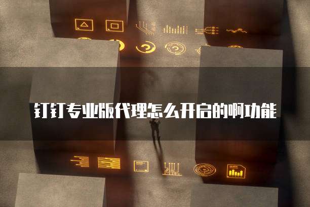 钉钉专业版代理怎么开启的啊功能