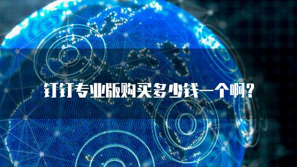 钉钉专业版购买多少钱一个啊?