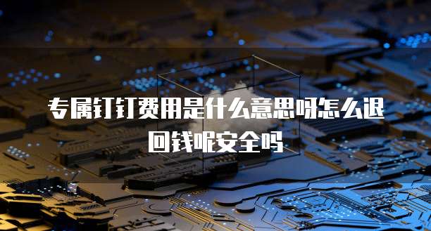 专属钉钉费用是什么意思呀怎么退回钱呢安全吗