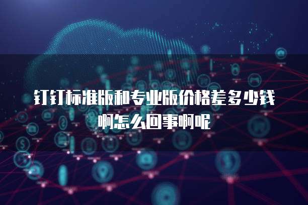 钉钉标准版和专业版价格差多少钱啊怎么回事啊呢