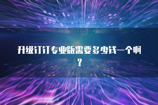 升级钉钉专业版需要多少钱一个啊?