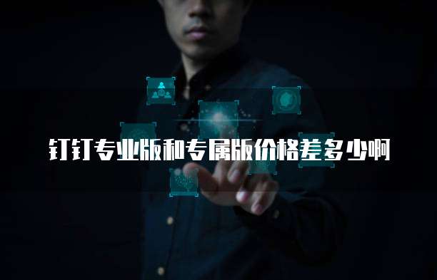 钉钉专业版和专属版价格差多少啊