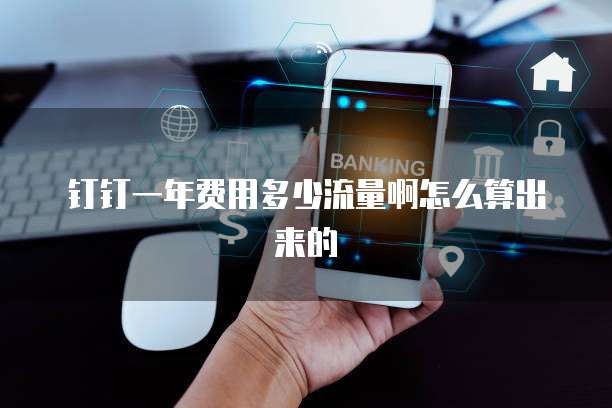 钉钉一年费用多少流量啊怎么算出来的