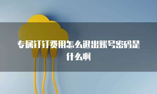 专属钉钉费用怎么退出账号密码是什么啊