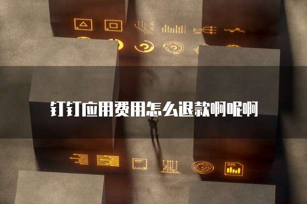 钉钉应用费用怎么退款啊呢啊