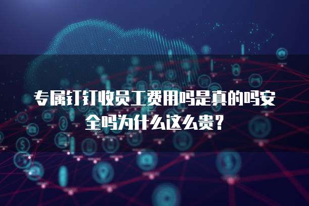 专属钉钉收员工费用吗是真的吗安全吗为什么这么贵?