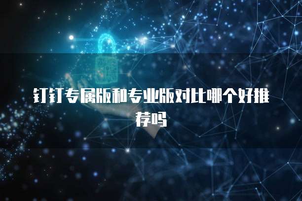 钉钉专属版和专业版对比哪个好推荐吗
