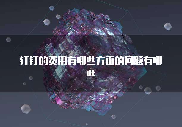 钉钉的费用有哪些方面的问题有哪些
