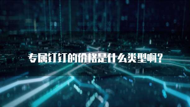 专属钉钉的价格是什么类型啊?