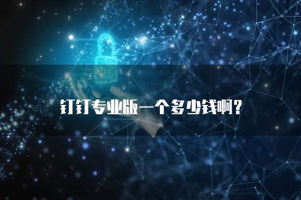 钉钉专业版一个多少钱啊?