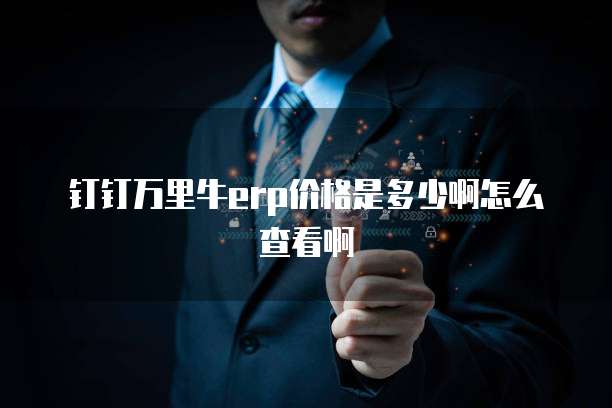 钉钉万里牛erp价格是多少啊怎么查看啊