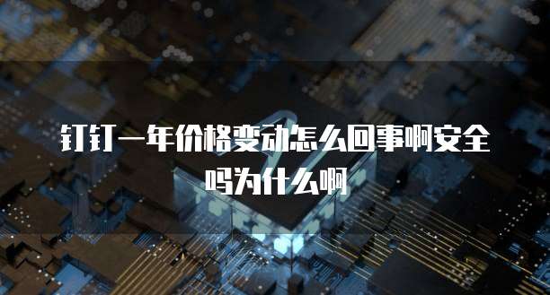 钉钉一年价格变动怎么回事啊安全吗为什么啊