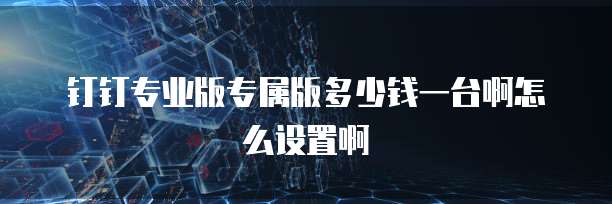 钉钉专业版专属版多少钱一台啊怎么设置啊