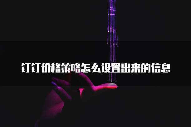 钉钉价格策略怎么设置出来的信息