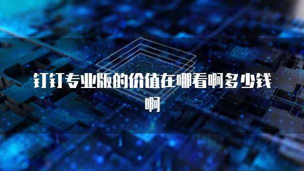 钉钉专业版的价值在哪看啊多少钱啊