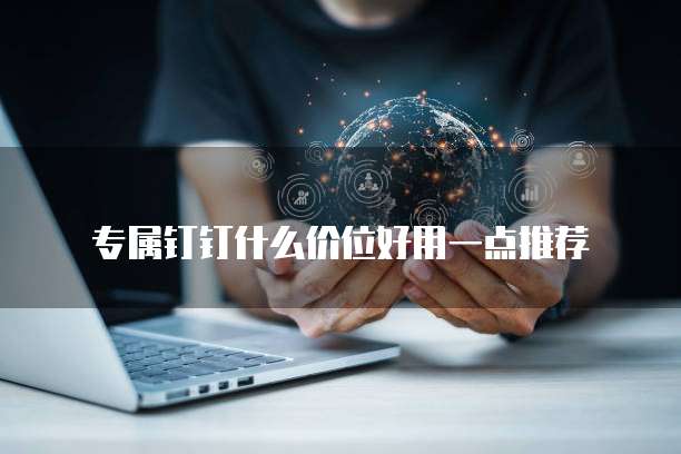专属钉钉什么价位好用一点推荐