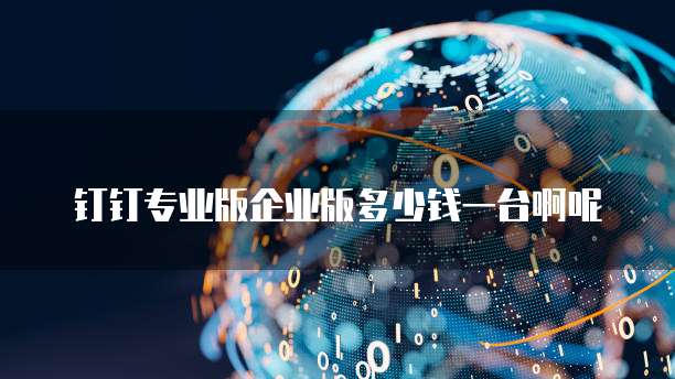 钉钉专业版企业版多少钱一台啊呢