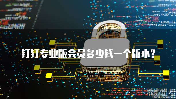 钉钉专业版会员多少钱一个版本?