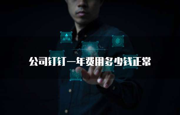 公司钉钉一年费用多少钱正常