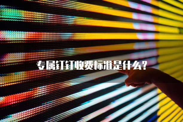 专属钉钉收费标准是什么?