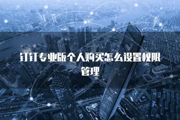 钉钉专业版个人购买怎么设置权限管理