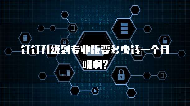 钉钉升级到专业版要多少钱一个月呀啊？