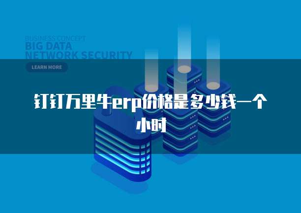 钉钉万里牛erp价格是多少钱一个小时