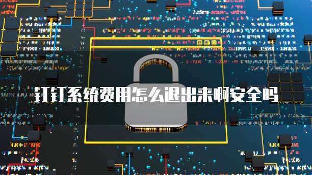 钉钉系统费用怎么退出来啊安全吗