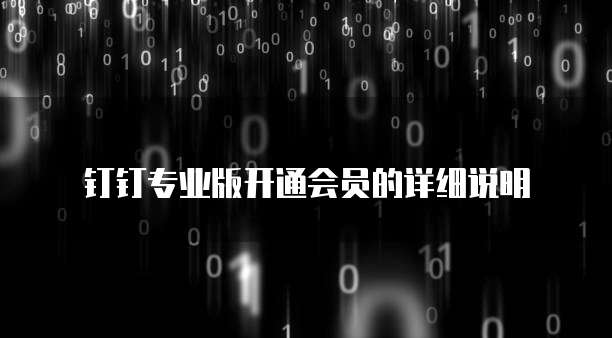 钉钉专业版开通会员的详细说明