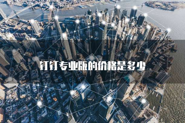 钉钉专业版的价格是多少