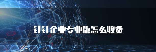 钉钉企业专业版怎么收费